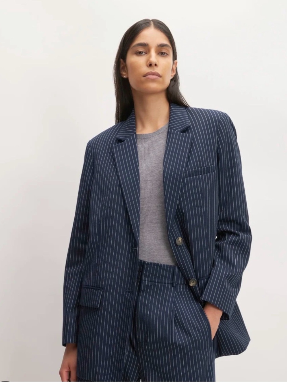 Everlane Navy Pinstripe Suit Blazer